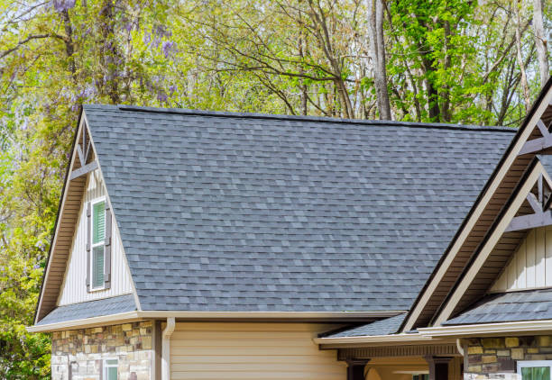 Best Roof Moss and Algae Removal  in Ottawa, OH